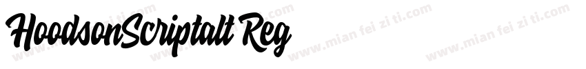 HoodsonScriptalt Reg字体转换